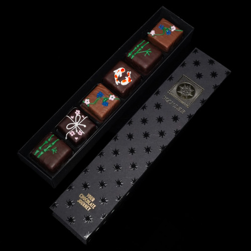 Zen 6