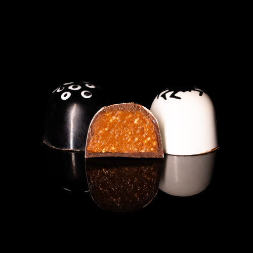 НІЧ У ТРАНСИЛЬВАНІЇ