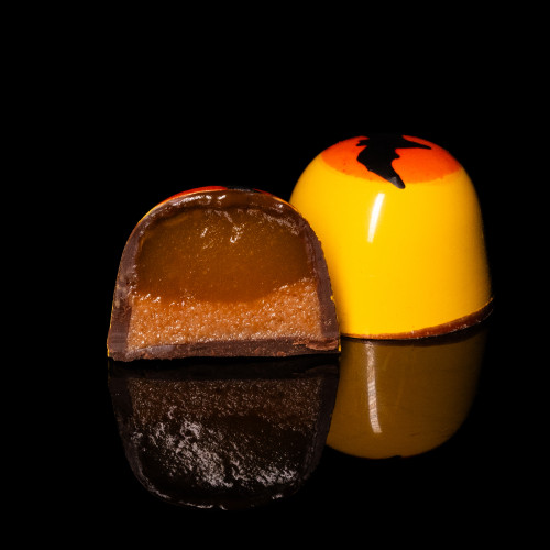 НІЧ У ТРАНСИЛЬВАНІЇ