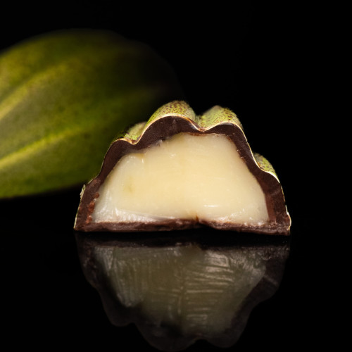 ДУЭТ — ЭТЮД В ПРИРОДНЫХ ТОНАХ