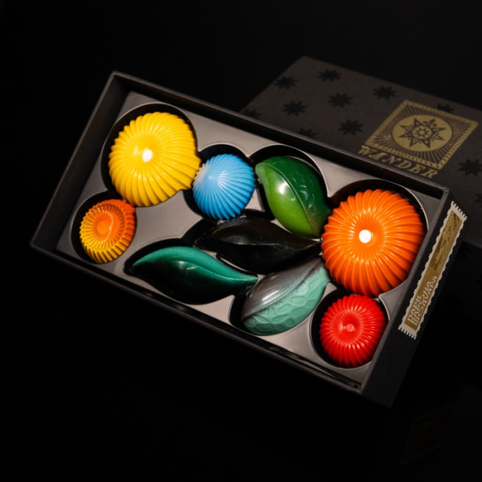 Квіти з парку Шодуара