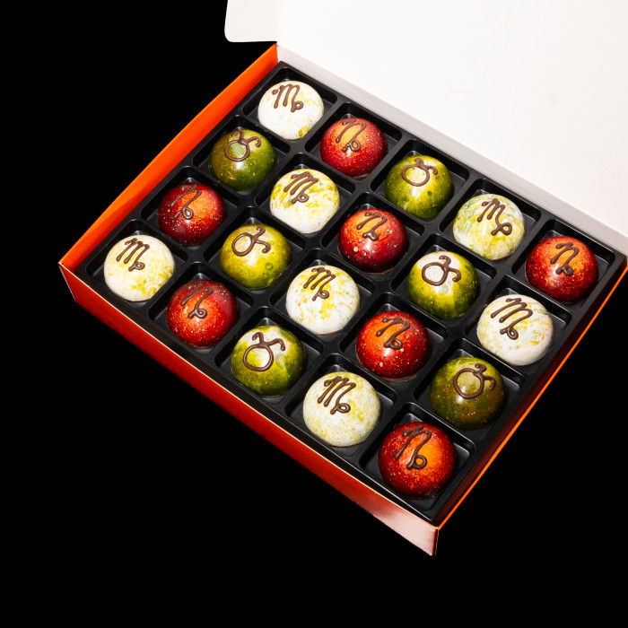 FAMILY PACK WANDER ELEMENT — TERRA