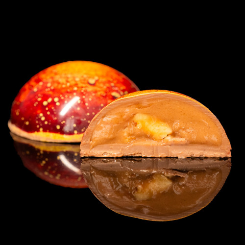 WANDER ELEMENT — TERRA