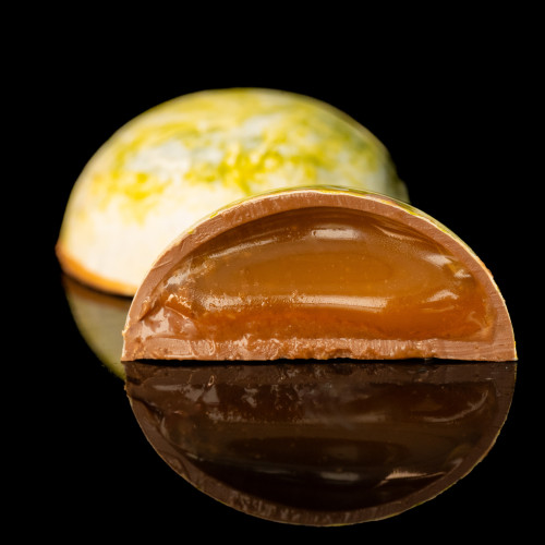 WANDER ELEMENT — TERRA