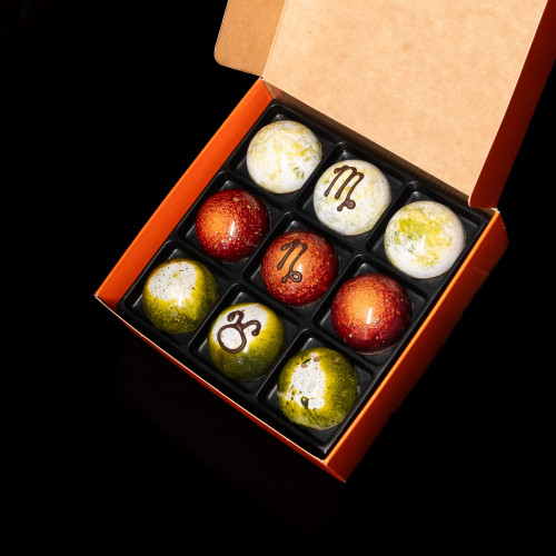 ВАША WANDER ELEMENT — TERRA