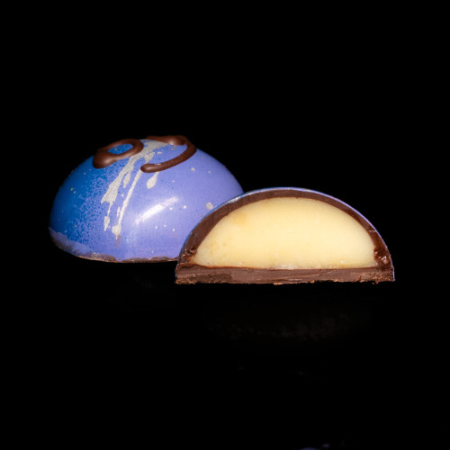 WANDER ELEMENT — AQUA