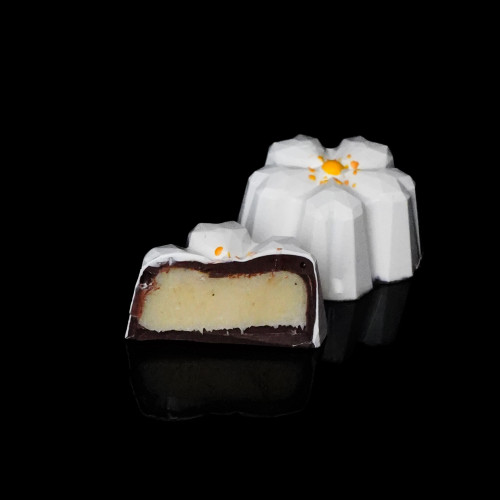 RHYTHM. FROM PLUM TO PRUNE